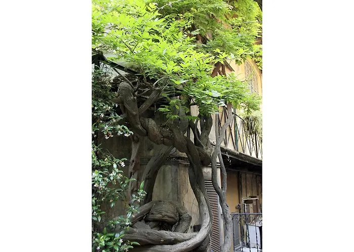 Apartamento Margutta Roma